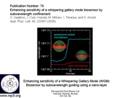 Whispering Gallery Mode Biosensor 013.JPG